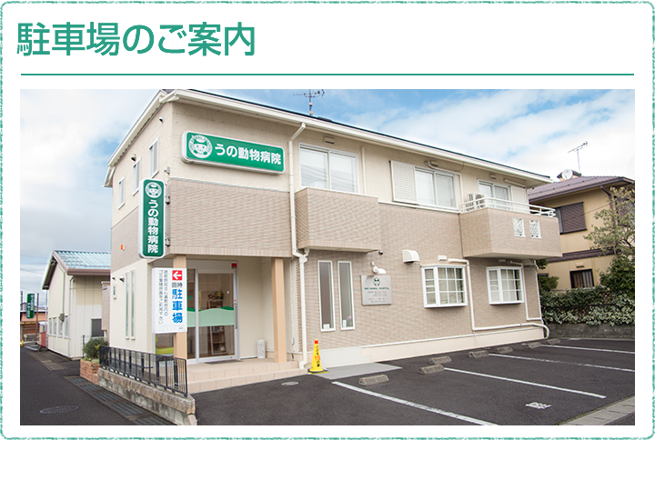 東近江「うの動物病院」の駐車場のご案内