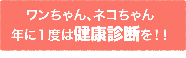ワンちゃん・猫ちゃんの健康診断